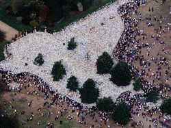 Ini Bunga Duka Cita untuk Diana, Lebih Banyak dari Ratu Elizabeth II? Ini Bunga Duka Cita untuk Diana, Lebih Banyak dari Ratu Elizabeth II?