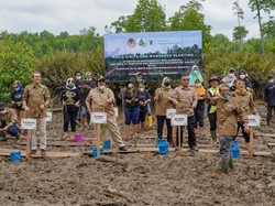 Menteri LHK Ajak Menteri Iklim & LH Norwegia Tanam Mangrove di Kaltim