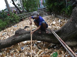 Jorok, Kali Licin Depok Jadi Lautan Sampah Styrofoam