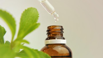 Gaduh Beeru Stevia, Kemenkes Ingatkan Tak Asal Pilih Produk 'Zero Sugar' - Infolitik