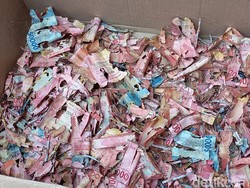 Kisah Getir Duit Celengan Puluhan Juta Hancur Dirayapi di Solo