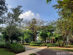 Keluarga Dihujat Karena Piknik di Bandara-Spot Healing Terbaru di Jaksel