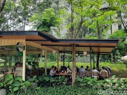 Cari yang Sejuk Tak Perlu ke Puncak, di Jaksel juga Ada