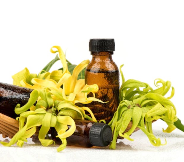 Ylang Ylang Oil