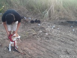 Momen Sedih Mochi Anjing Kesayangan PNS Iwan Ikut Cari Potongan Tubuh Majikan