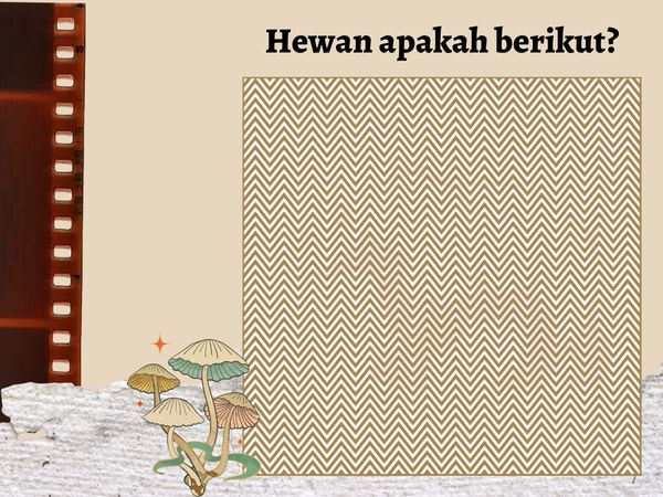 Bisa Tebak Hewan Apa yang Ada di Balik Gambar Ini?