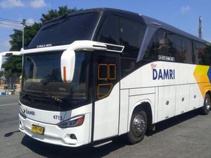 Sebelum Dikawinkan, Damri dan PPD Belum Bayar Gaji-Pesangon Karyawan Rp 111 M Sebelum Dikawinkan, Damri dan PPD Belum Bayar Gaji-Pesangon Karyawan Rp 111 M