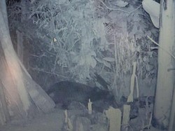 Menelisik Penyebab Konflik Macan-Manusia hingga Keasrian Gunung Kareumbi