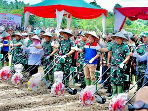 TNI AD dan PHR Garap 100 Ha Lahan Untuk Ketahanan Pangan Nasional TNI AD dan PHR Garap 100 Ha Lahan Untuk Ketahanan Pangan Nasional