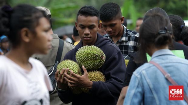 Masyarakat berkumpul menikmati buah durian pada Festival Makan Durian di Negeri Hutumuri Kecamatan Leitmur Selatan, Ambon, Minggu, 10 Juli 2022. Festival ini diadakan setahun sekali saat musim durian di desa ini. Ribuan durian yang disediakan merupakan kumpulan dari warga yang memiliki kebun durian. Tarif masuk ke festival ini Rp 50 ribu per orang  makan durian sepuasnya. CNN Indonesia/Safir Makki