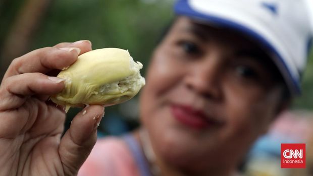 Masyarakat berkumpul menikmati buah durian pada Festival Makan Durian di Negeri Hutumuri Kecamatan Leitmur Selatan, Ambon, Minggu, 10 Juli 2022. Festival ini diadakan setahun sekali saat musim durian di desa ini. Ribuan durian yang disediakan merupakan kumpulan dari warga yang memiliki kebun durian. Tarif masuk ke festival ini Rp 50 ribu per orang  makan durian sepuasnya. CNN Indonesia/Safir Makki