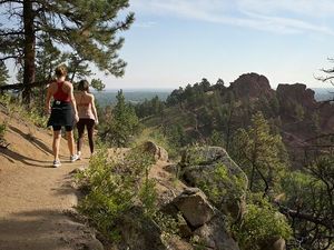 Keluarga Tewas Mengenaskan Belajar Hidup di Alam Liar dari Video Tutorial Keluarga Tewas Mengenaskan Belajar Hidup di Alam Liar dari Video Tutorial