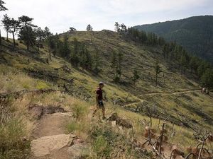 Alasan Satu Keluarga Putuskan Hidup di Alam Liar Berujung Tewas Mengenaskan Alasan Satu Keluarga Putuskan Hidup di Alam Liar Berujung Tewas Mengenaskan