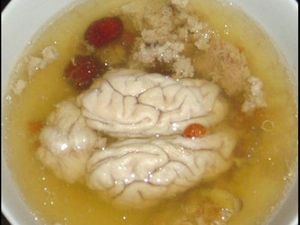 Menjijikkan Tapi 5 Makanan Ini Populer di Berbagai Negara Menjijikkan Tapi 5 Makanan Ini Populer di Berbagai Negara