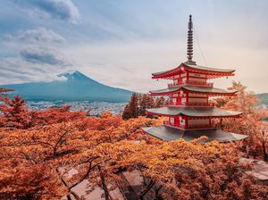 Jepang Pecahkan Rekor Musim Gugur Terhangat Sejak 126 Tahun