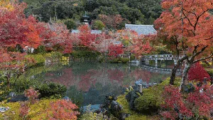 Panorama Musim Gugur yang Syahdu di Jepang