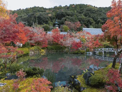 Panorama Musim Gugur yang Syahdu di Jepang