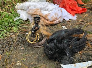 Geger Temuan Jenglot Bergelang Emas di Pamijahan Bogor Geger Temuan Jenglot Bergelang Emas di Pamijahan Bogor