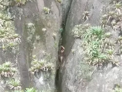 Pendaki Ini Ditemukan Menangis, Telanjang dan Terjepit di Tebing Batu