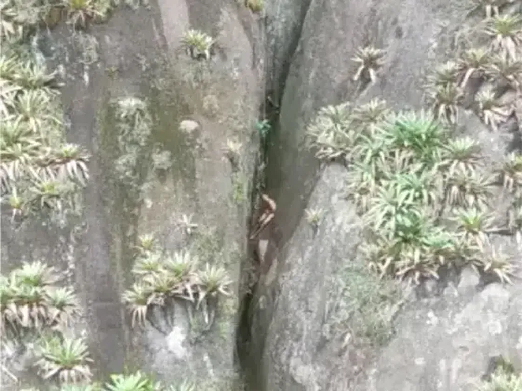 Pendaki Telanjang Bulat Terjebak di Celah Tebing Batu, Kok Bisa?