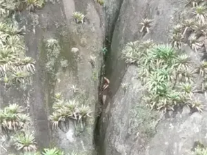 Pendaki Ini Ditemukan Menangis, Telanjang dan Terjepit di Tebing Batu Pendaki Ini Ditemukan Menangis, Telanjang dan Terjepit di Tebing Batu