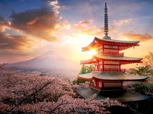 Tanda-Tanda ke Jepang Makin Mudah, Aplikasi Pelacak Covid-19 Ditutup