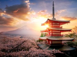 Tanda-Tanda ke Jepang Makin Mudah, Aplikasi Pelacak Covid-19 Ditutup