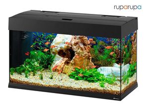 Selain Cantik, Ini 5 Kelebihan Pakai Lampu LED untuk Akuarium