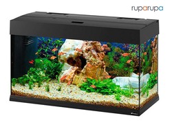 Selain Cantik, Ini 5 Kelebihan Pakai Lampu LED untuk Akuarium