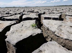 Tentang Gelombang Panas yang Lelehkan Benua Asia