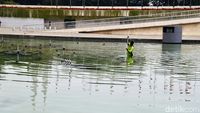 Byur! Petugas Basah-basahan Bersihkan Kolam Lapangan Banteng