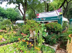 Main Sambil Belajar di Festival Flona Lapangan Banteng