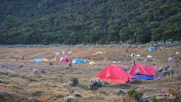 Tarif Terbang Drone di Gunung Gede Pangrango: Siapkan Rp 2 Juta untuk Mengudara!