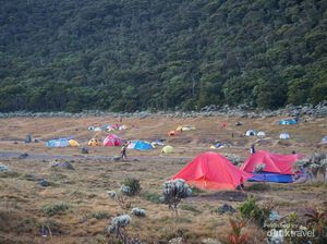 Gila! 2.000-an Pendaki Ilegal Terciduk di Gunung Gede Pangrango Gila! 2.000-an Pendaki Ilegal Terciduk di Gunung Gede Pangrango