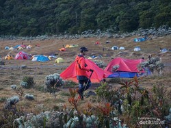 Tiket Masuk Taman Nasional Naik Drastis, UMKM Warlok Terimbas?