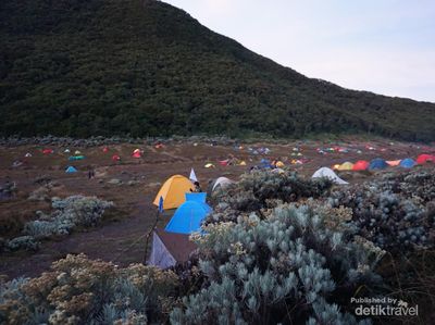 Indahnya Pagi di Alun-alun Surya Kencana Gunung Gede
