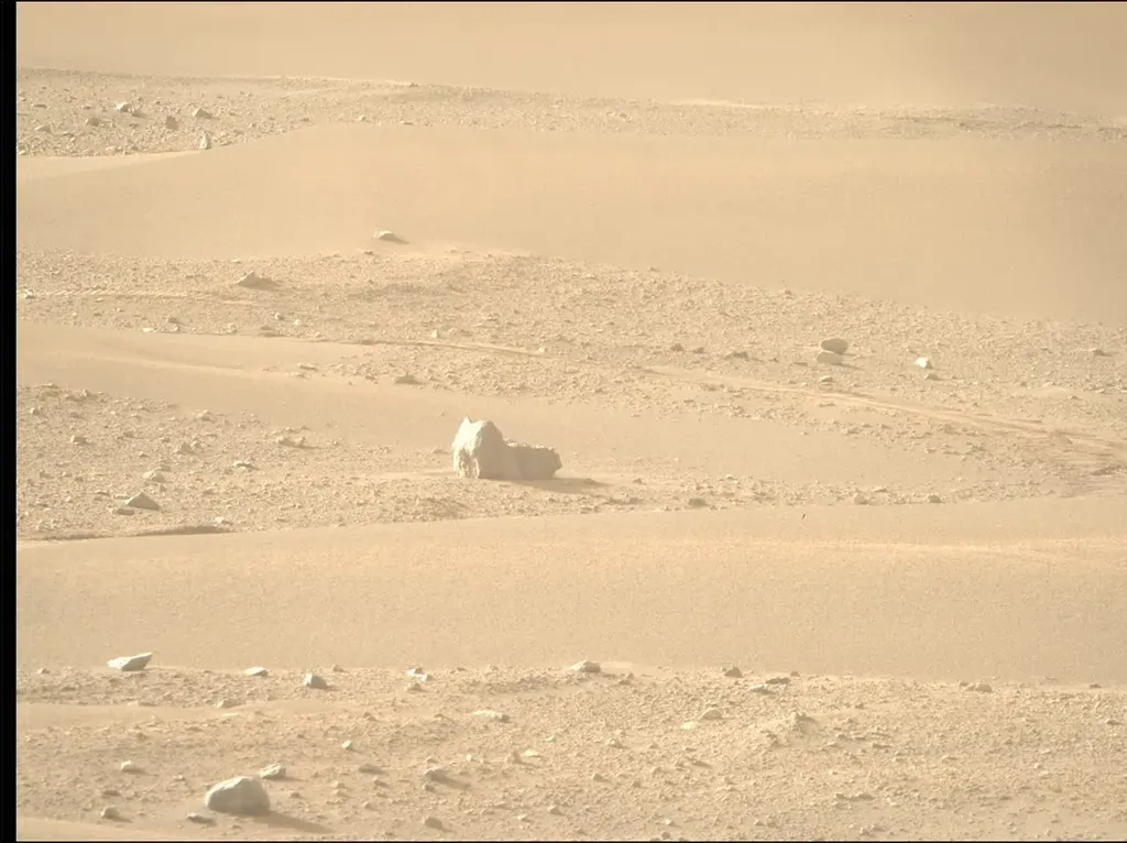 Ada Kucing di Mars?