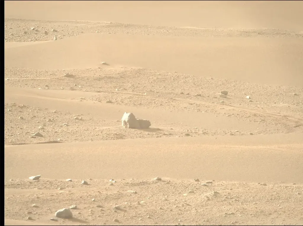 Ada Kucing di Mars? Ada Kucing di Mars?