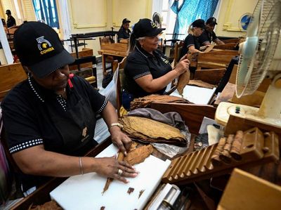 Mengintip Pembuatan Cerutu Paling Terkenal di Kuba