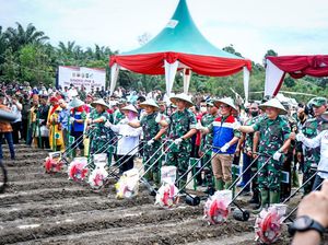 Dukung Ketahanan Pangan, Pertamina Gaet TNI Kembangkan Pertanian di Riau