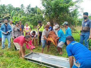 Petani di Tabanan Meninggal Saat Istirahat Potong Rumput