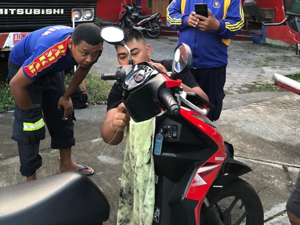Hiii! Seekor Ular Tetiba Keluar dari Bodi Motor Warga di Klaten Hiii! Seekor Ular Tetiba Keluar dari Bodi Motor Warga di Klaten