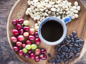 Selain Kafein, Senyawa pada Kopi Ini Juga Baik untuk Kesehatan Selain Kafein, Senyawa pada Kopi Ini Juga Baik untuk Kesehatan