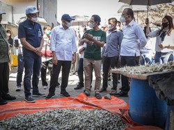 Program Solar untuk Koperasi Nelayan Siap Uji Coba di Surabaya