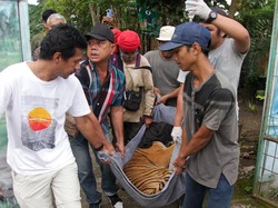 1 Harimau di Medan Zoo Mati Lagi, Kini Tersisa 9