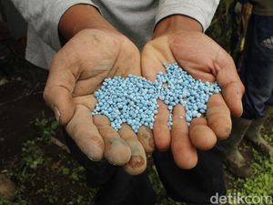 Ciri-ciri Pupuk Palsu dan Dampaknya yang Merugikan, Apa Saja? Ciri-ciri Pupuk Palsu dan Dampaknya yang Merugikan, Apa Saja?