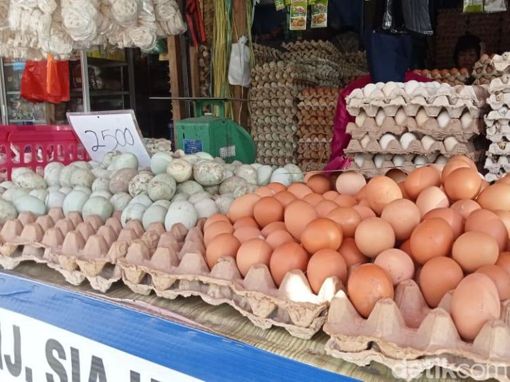 Harga Telur Ayam di Denpasar Turun Hari Ini, Cek Rinciannya Ton