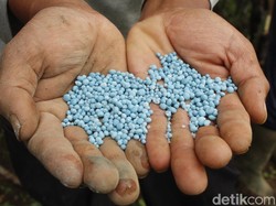 Rezeki Petani Asri dengan Pupuk Asli Ber-SNI
