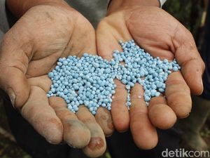 Rezeki Petani Asri dengan Pupuk Asli Ber-SNI Rezeki Petani Asri dengan Pupuk Asli Ber-SNI