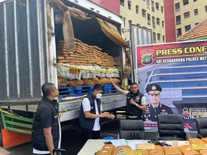 Bawa Celurit, Kurir 304 Kg Ganja di Tangerang Melawan Polisi saat Ditangkap Bawa Celurit, Kurir 304 Kg Ganja di Tangerang Melawan Polisi saat Ditangkap